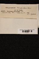 Image Associated With the Occurrence