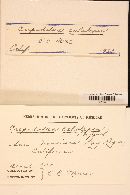 Image Associated With the Occurrence