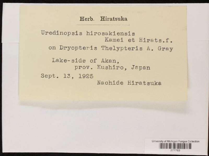 Uredinopsis hirosakiensis image