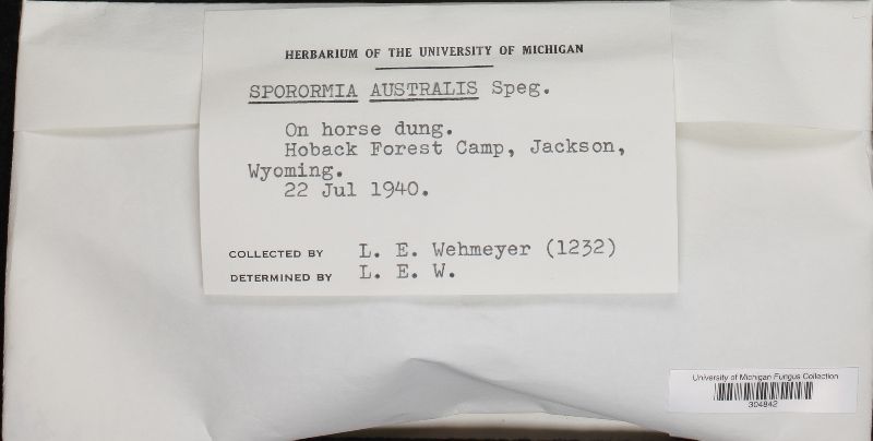 Sporormia australis image