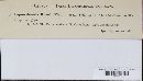 Thumbnail image of current specimen