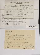 Hypoxylon oregonense image