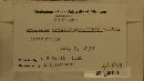 Thumbnail image of current specimen
