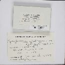 Geoglossum glabrum image