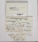 Thumbnail image of current specimen