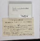 Thumbnail image of current specimen