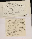 Helotium naviculisporum image