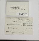 Spathularia velutipes image