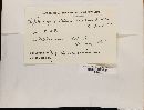 Media resource of Cytosporella mendax