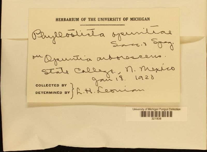Phyllosticta opuntiae image
