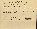 Thumbnail image of current specimen