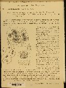 Mycosphaerella mori image