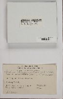 Media resource of Alysidium aureofulvum