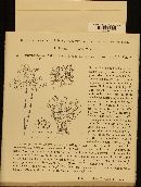 Thumbnail image of current specimen
