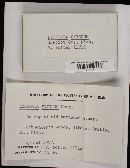 Thumbnail image of current specimen