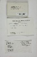 Thumbnail image of current specimen