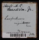 Media resource of Lamproderma nigrescens