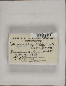 Image Associated With the Occurrence