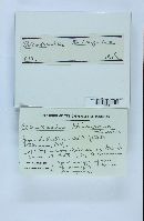 Blakeslea trispora image