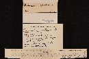 Thumbnail image of current specimen