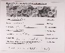 Cantharellus ignicolor image