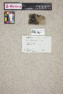 Image Associated With the Occurrence