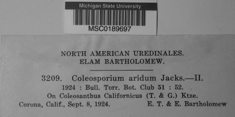 Coleosporium aridum image