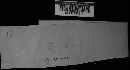 Hypoxylon fragiforme image