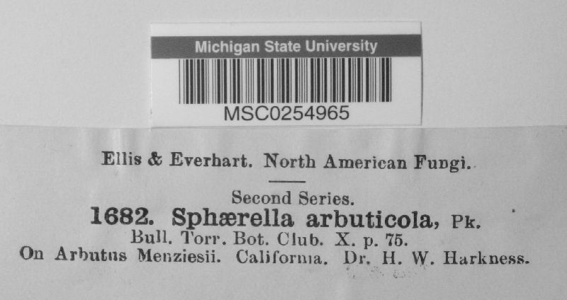 Mycosphaerella arbuticola image