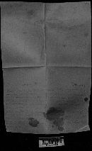 Thumbnail image of current specimen