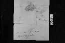 Sarcodon fennicus image