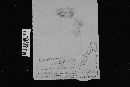 Sarcodon fennicus image