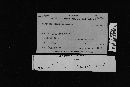 Sarcodon fennicus image
