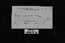 Thumbnail image of current specimen