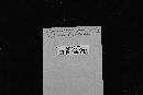 Thumbnail image of current specimen