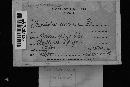 Thumbnail image of current specimen