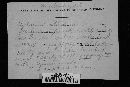 Hydnum albidum image