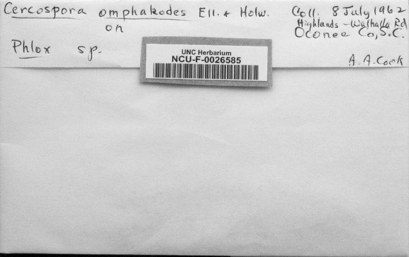 Cercospora omphacodes image