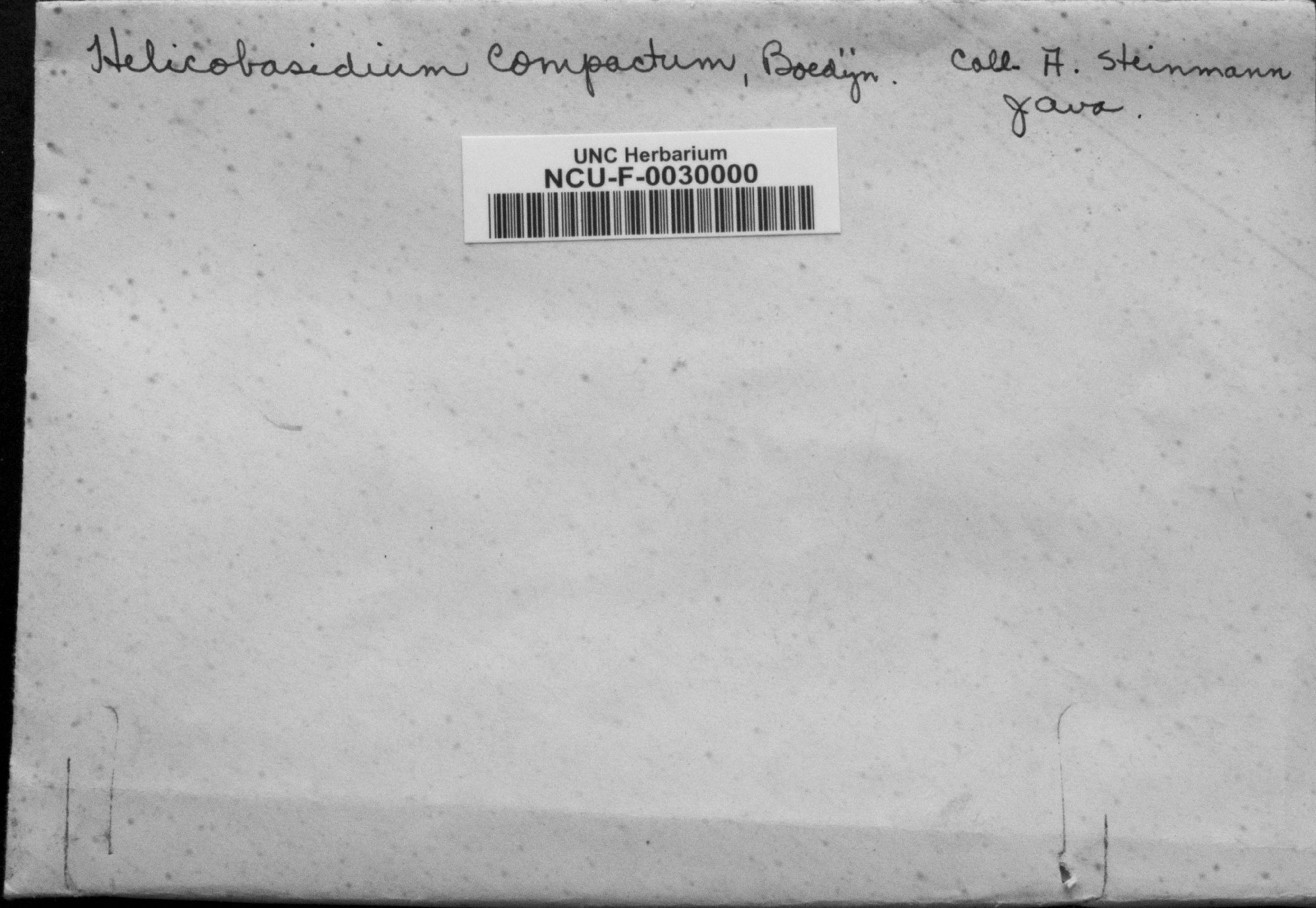 Helicobasidium compactum