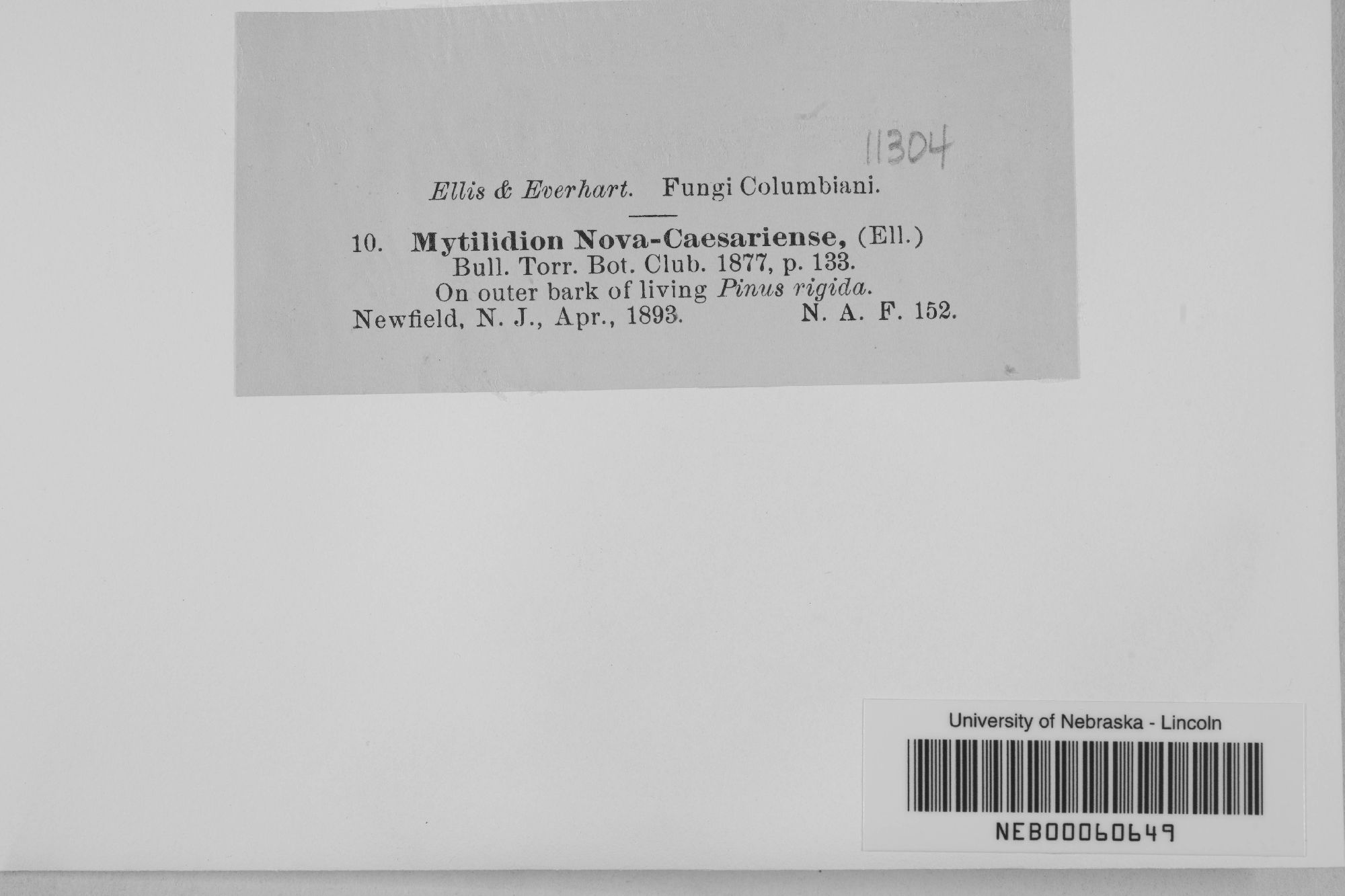 Mytilinidion thumbnail