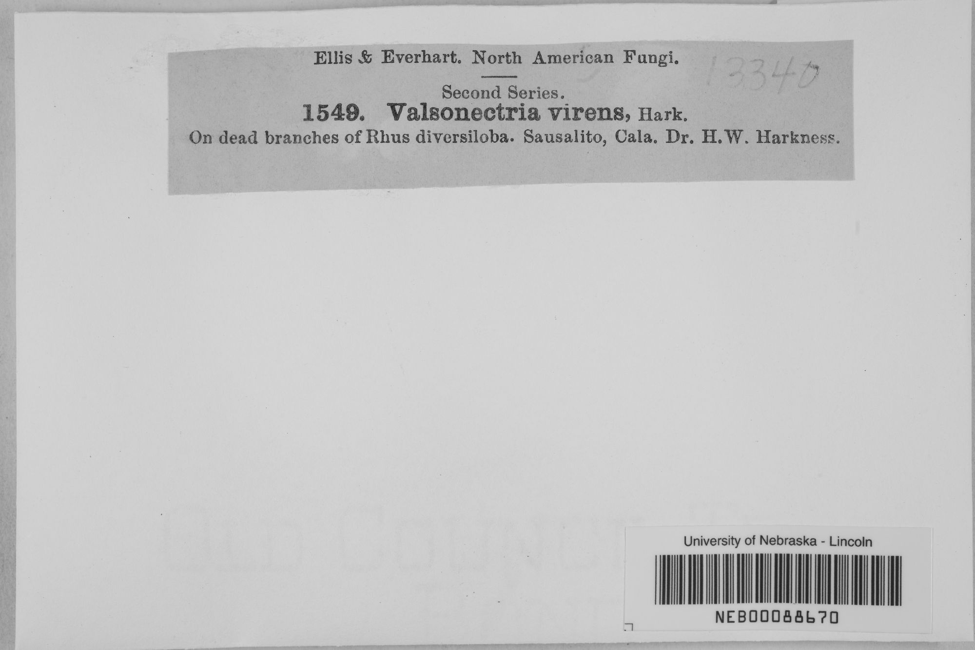 Valsonectria thumbnail