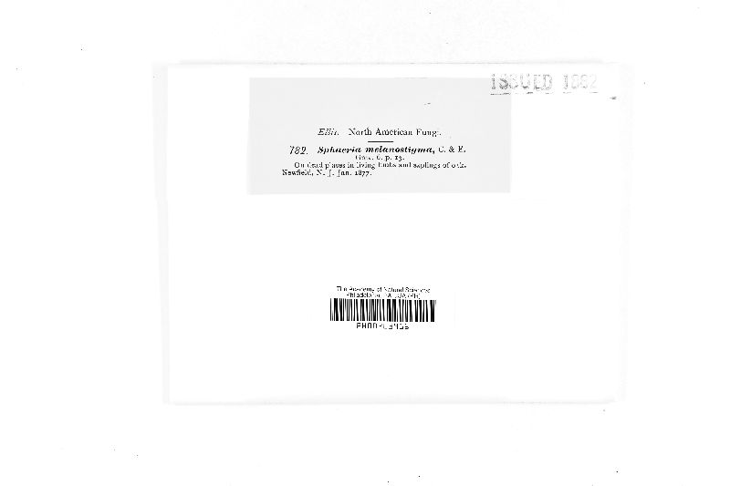 Sphaeria melanostigma image