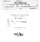 Image Associated With the Occurrence