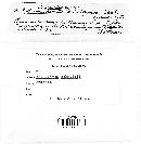 Image Associated With the Occurrence