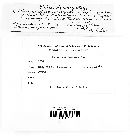 Allantoporthe decedens image