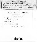 Image Associated With the Occurrence