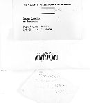 Ganoderma lobatum image