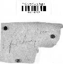 Xanthoporia radiata image