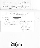 Image Associated With the Occurrence