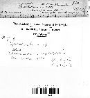 Image Associated With the Occurrence